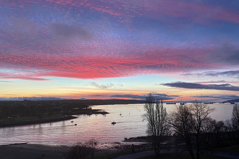 901 1311 Beach Avenue Vancouver, BC - 1