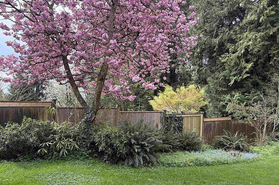 3039 St. Georges Avenue North Vancouver, BC - 32