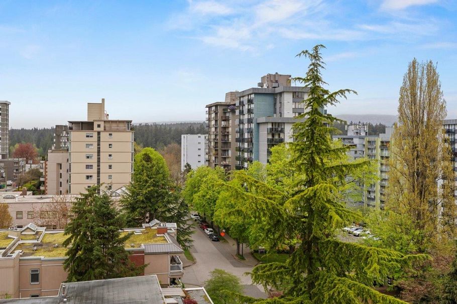 1003 1860 Robson Street Vancouver, BC - 7