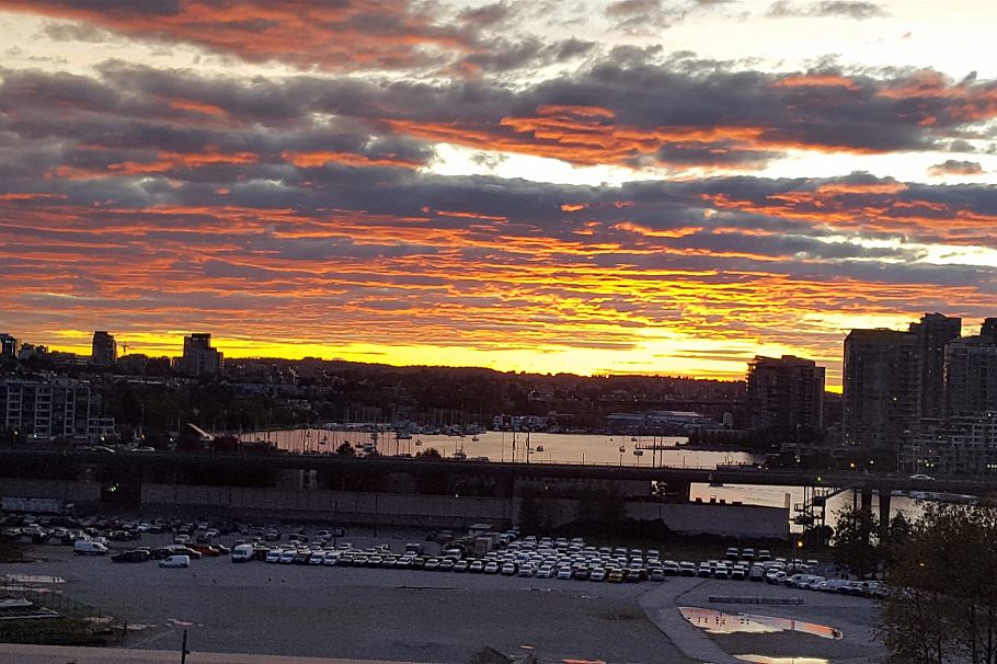 1009 181 W 1st Avenue Vancouver, BC - 5