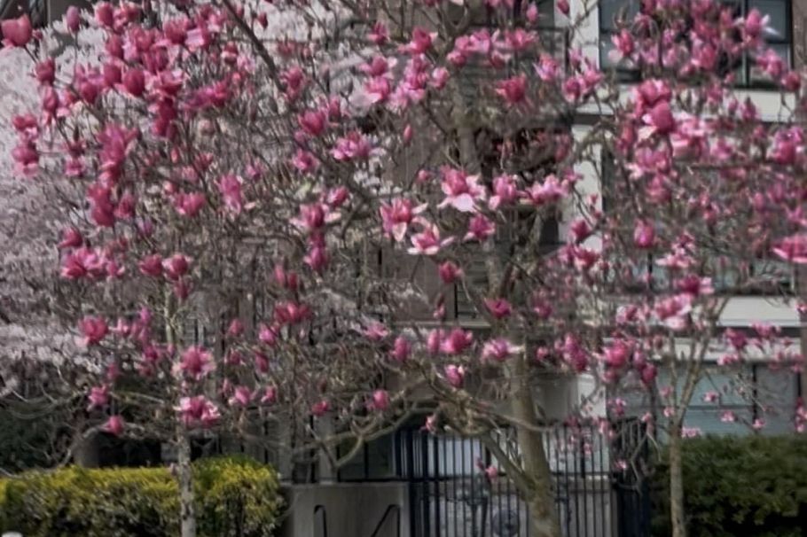 212 6033 Gray Avenue Vancouver, BC - 15