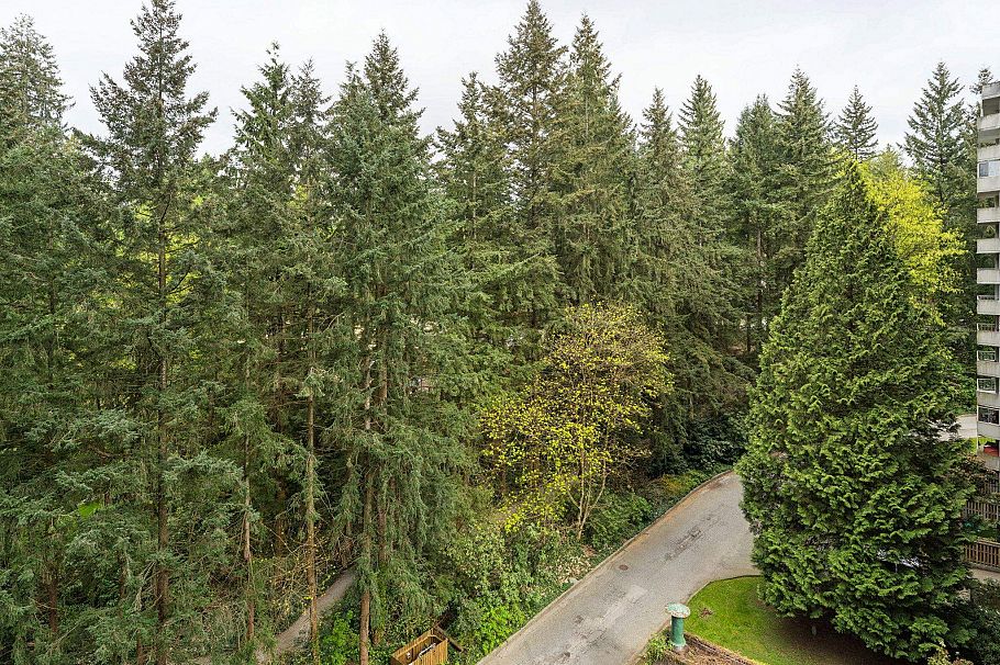 905 2024 Fullerton Avenue North Vancouver, BC - 10