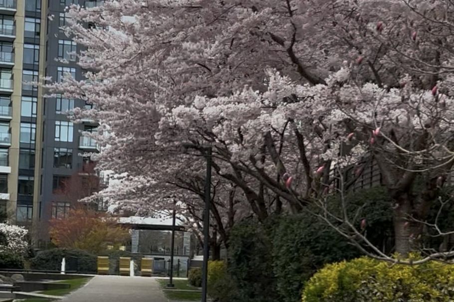 212 6033 Gray Avenue Vancouver, BC - 16