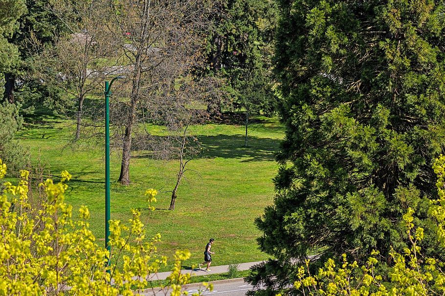 509 4867 Cambie Street Vancouver, BC - 32