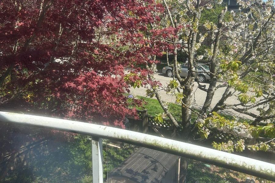 8377 Hudson Street Vancouver, BC - 17