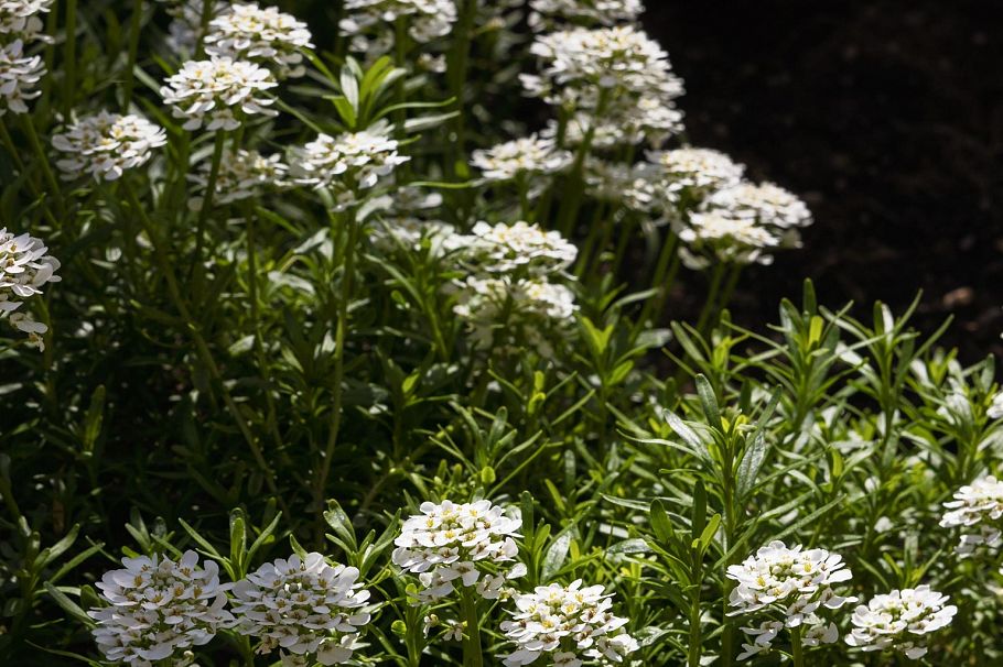 201 3595 W 26th Avenue Vancouver, BC - 25