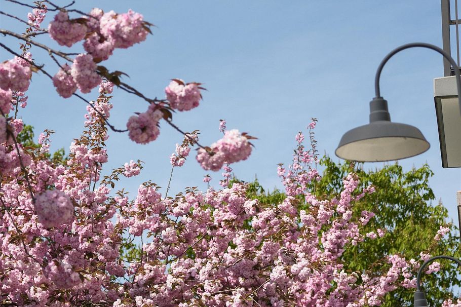 201 3595 W 26th Avenue Vancouver, BC - 26