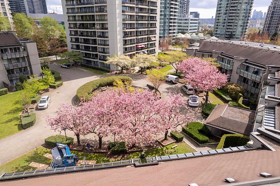 202 4353 Halifax Street Burnaby, BC - 21