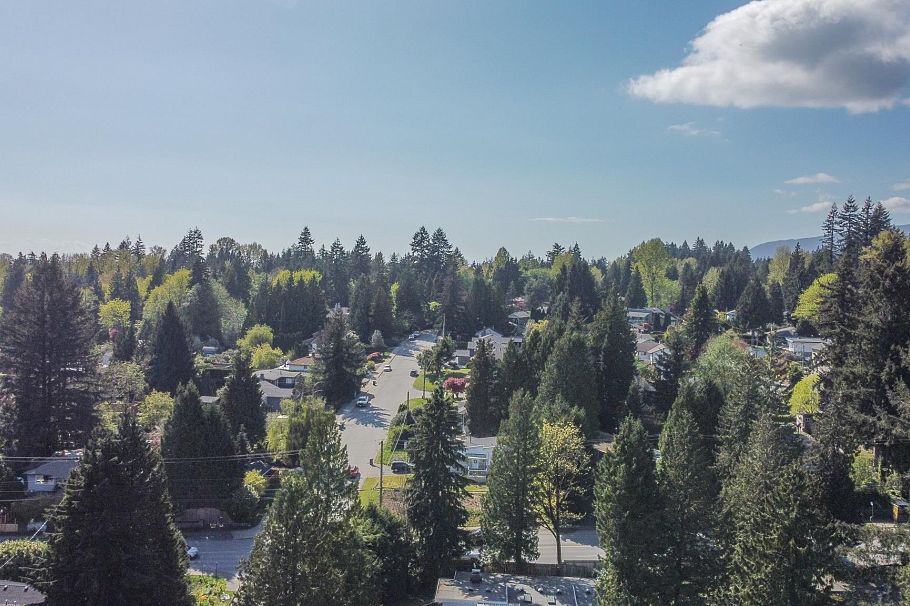 1352 E 16th Street North Vancouver, BC - 4