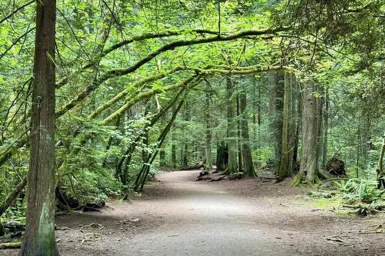 2004 5629 Birney Avenue Vancouver, BC - 36