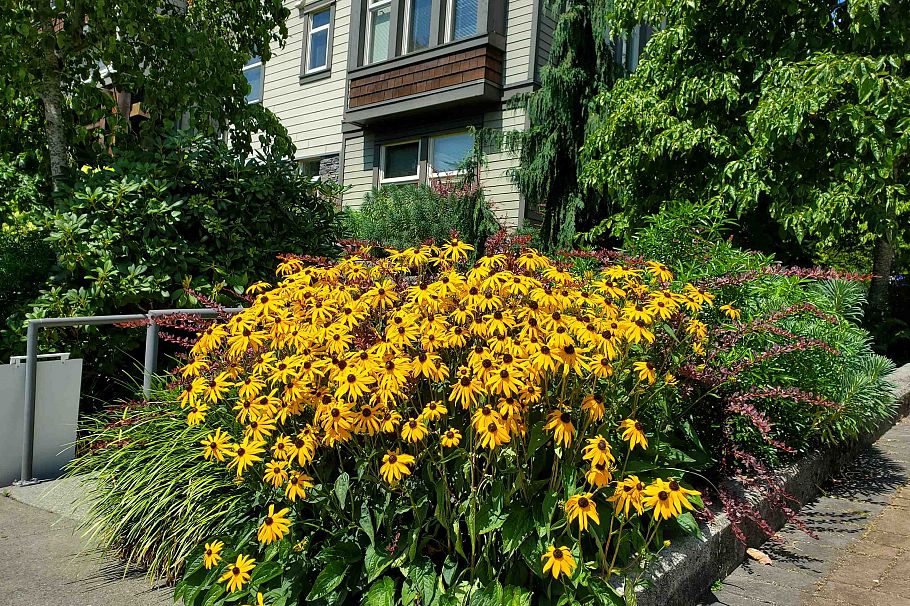 208 188 W 29 Street North Vancouver, BC - 33