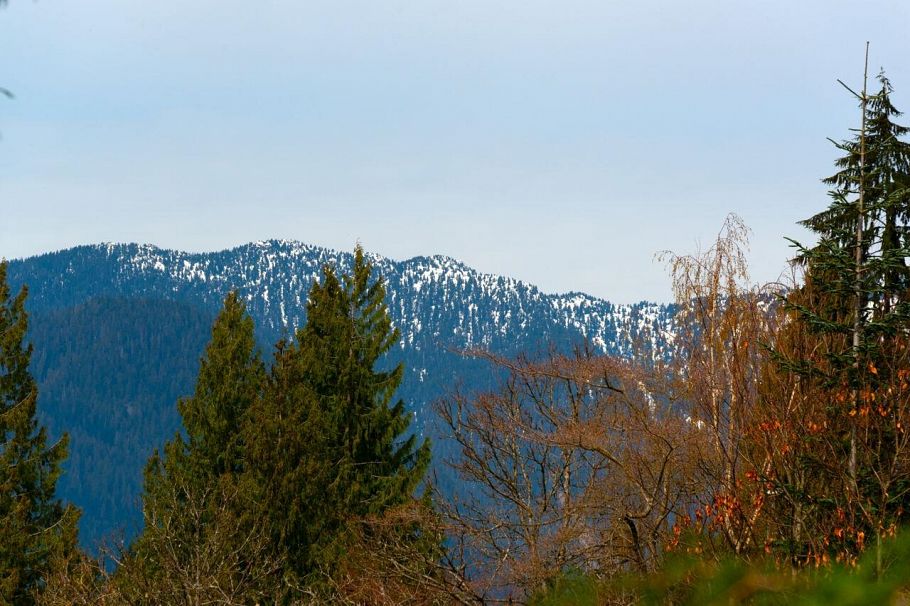647 Blueridge Avenue North Vancouver, BC - 12