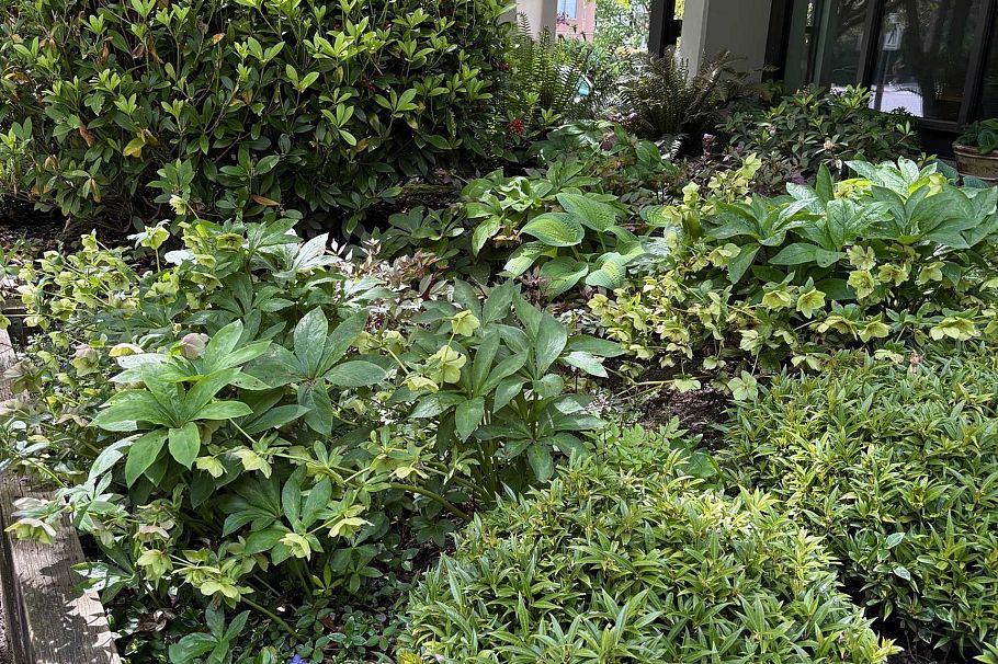 602 505 Lonsdale Avenue North Vancouver, BC - 32