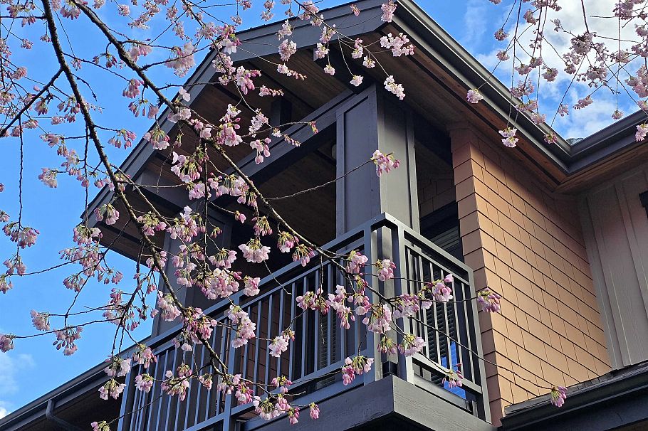 29 555 Raven Woods Drive North Vancouver, BC - 5