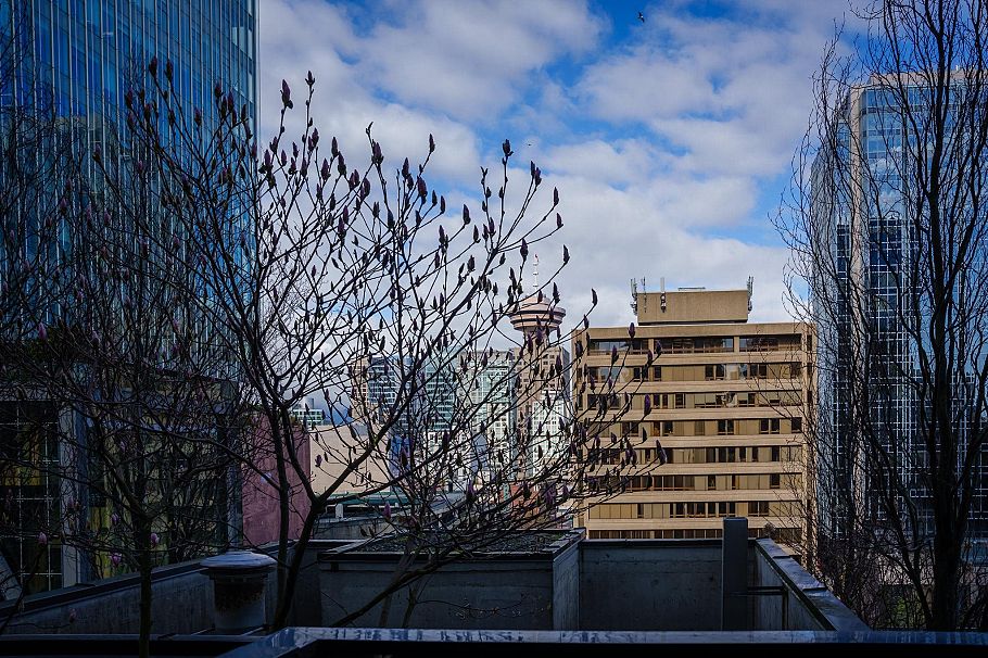 1107 788 Richards Street Vancouver, BC - 10
