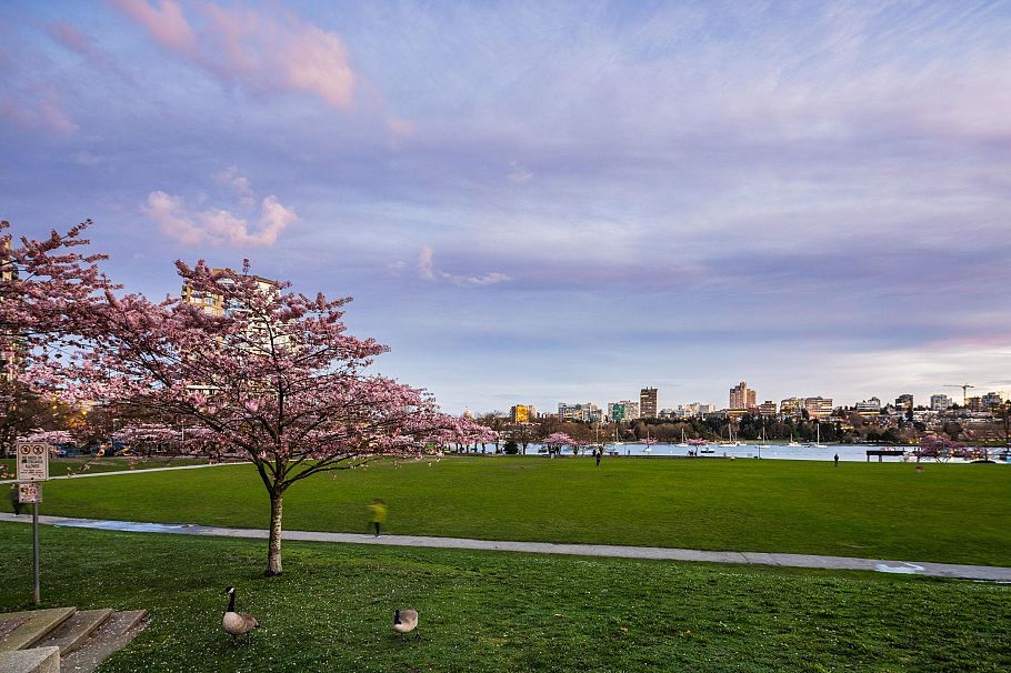 806 1318 Homer Street Vancouver, BC - 33