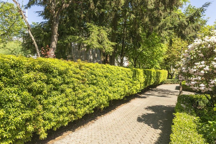 3184 Mountain Highway North Vancouver, BC - 3