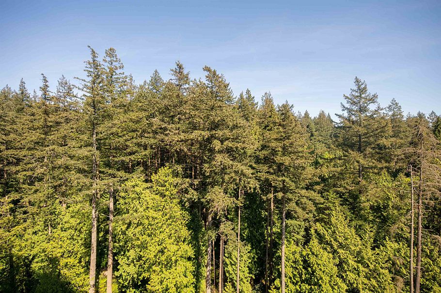 1307 3487 Binning Road Vancouver, BC - 25