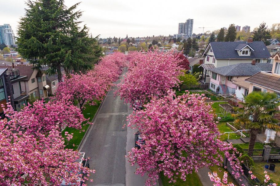 111 E 61st Avenue Vancouver, BC - 31