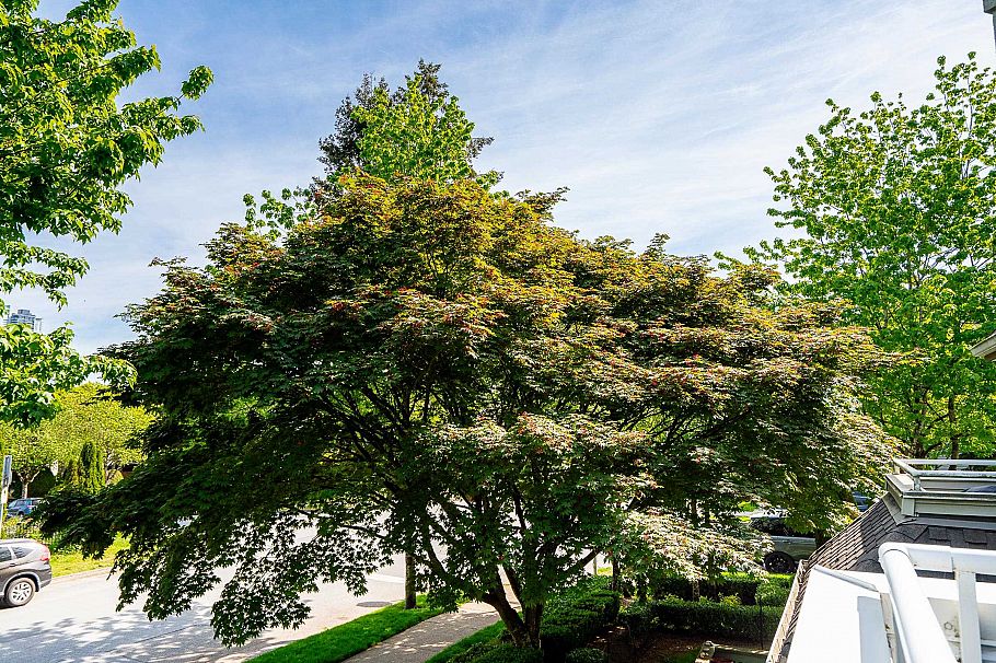 204 3183 Esmond Avenue Burnaby, BC - 23