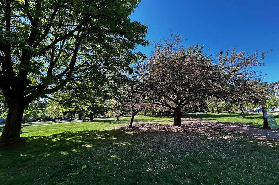 206 175 E 10th Street North Vancouver, BC - 24