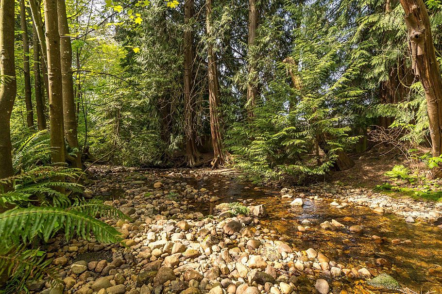 212 3275 Mountain Highway North Vancouver, BC - 24