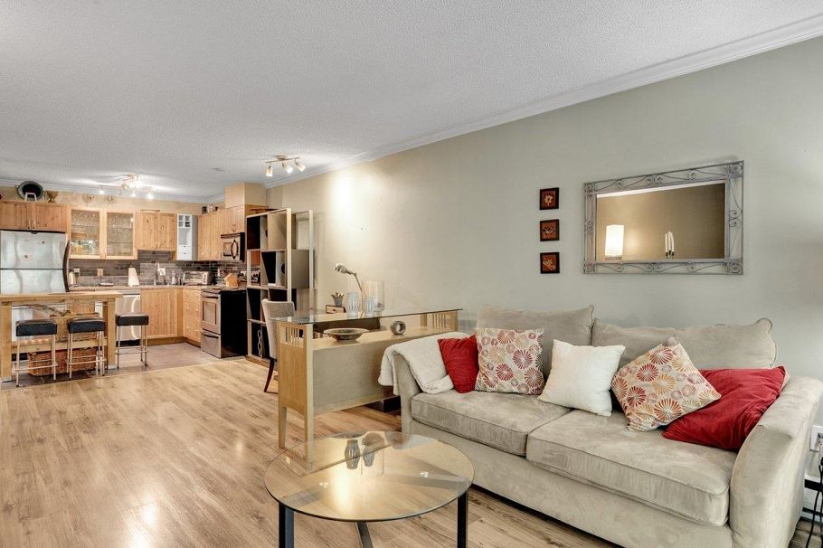 303 1234 Pendrell Street Vancouver, BC - 10