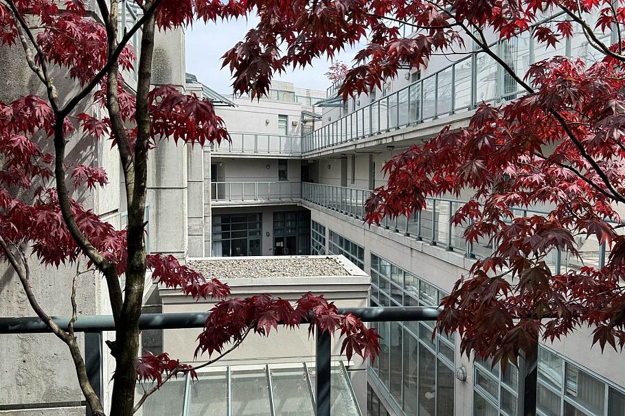 311 1630 W 1st Avenue Vancouver, BC - 29