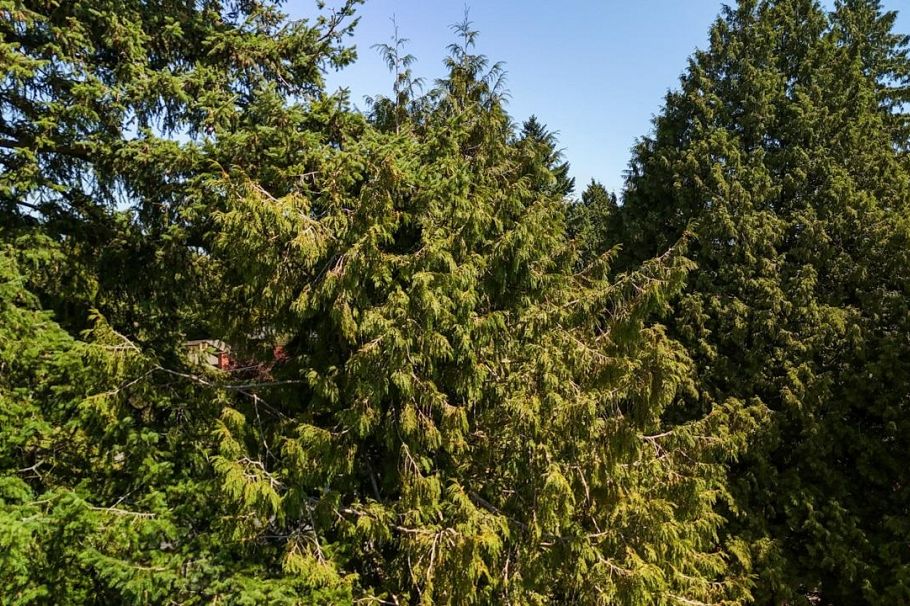 3060 W 45th Avenue Vancouver, BC - 14