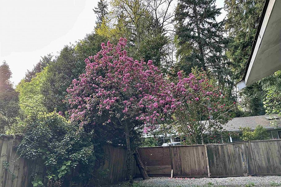 909 Seymour Boulevard North Vancouver, BC - 38