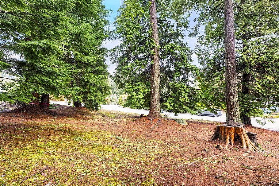 LOT 2 3091 Royal Avenue North Vancouver, BC - 9