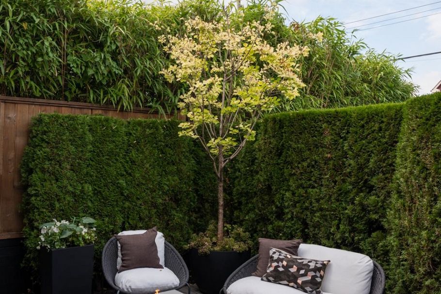 723 Union Street Vancouver, BC - 29