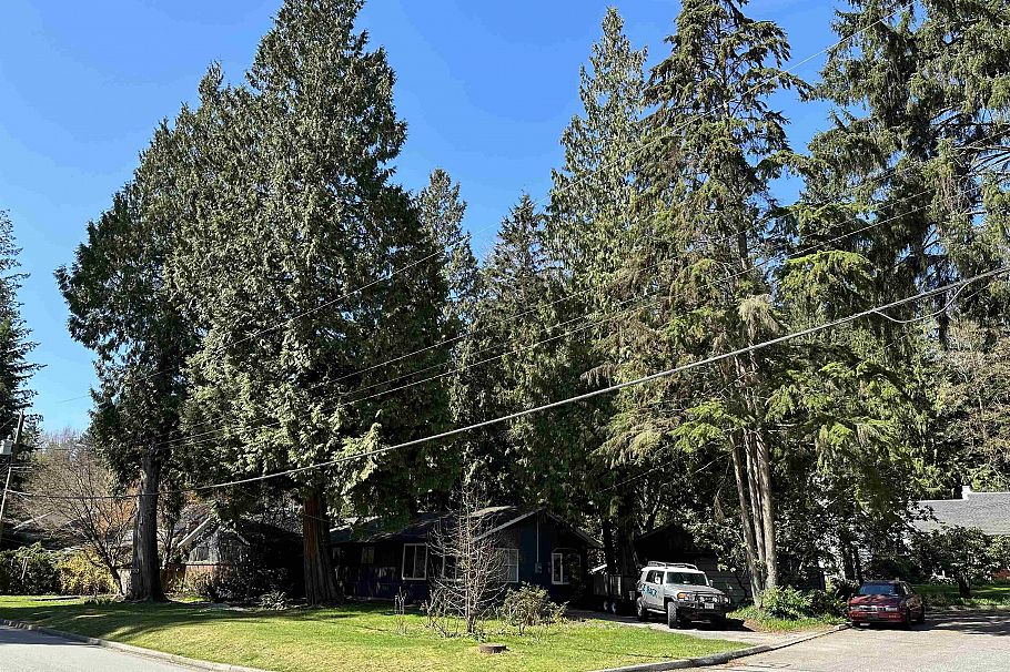 909 Seymour Boulevard North Vancouver, BC - 37