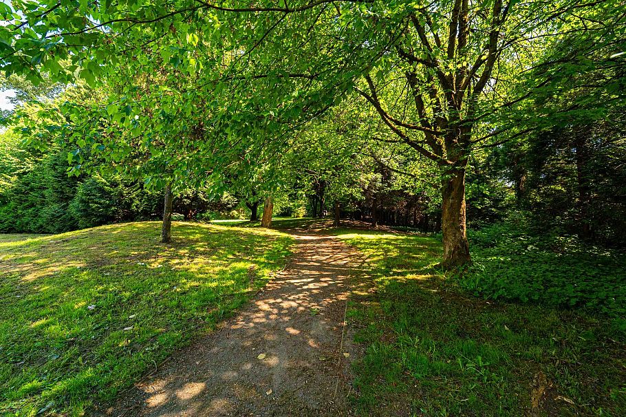 3446 William Street Vancouver, BC - 16