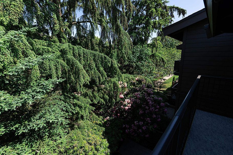 312 330 E 7th Avenue Vancouver, BC - 31
