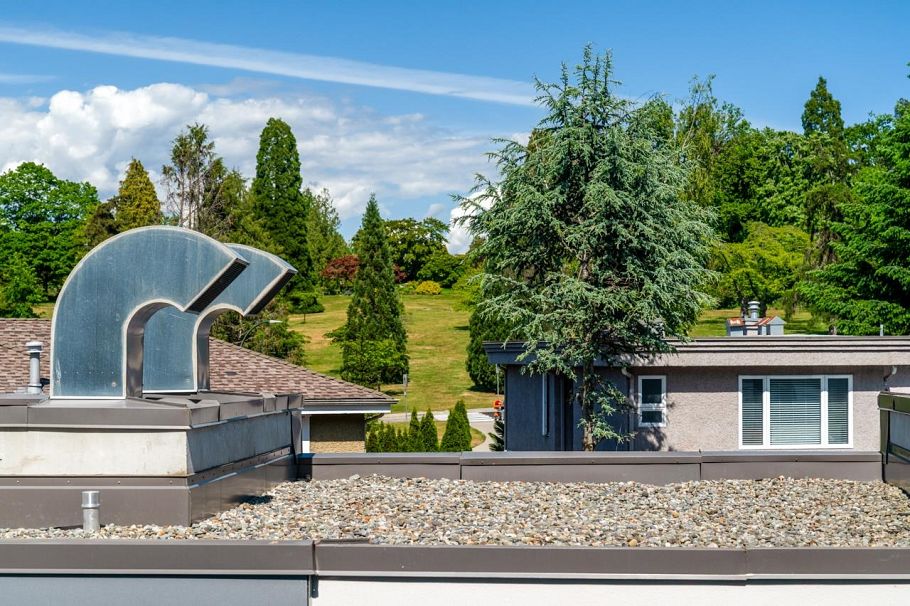 302 4932 Cambie Street Vancouver, BC - 2