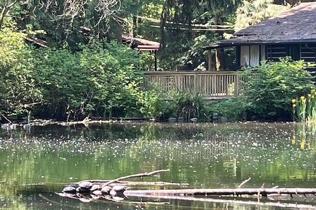1075 Gladwin Drive North Vancouver, BC - 34