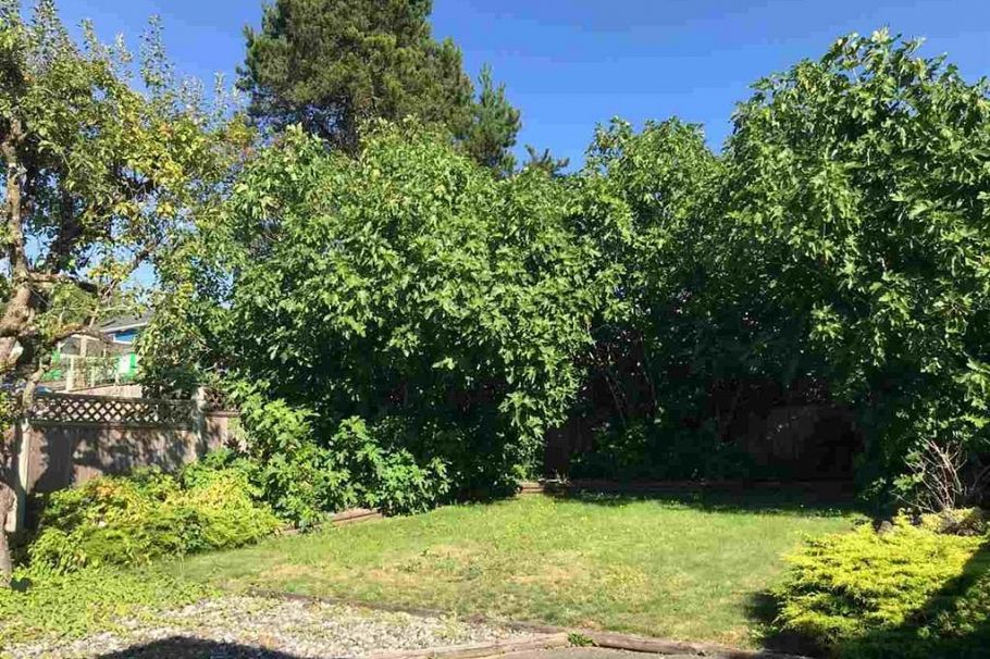 4904 Rupert Street Vancouver, BC - 5