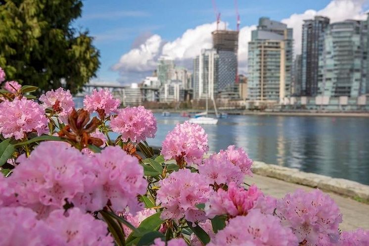 605 1510 W 1st Avenue Vancouver, BC - 24