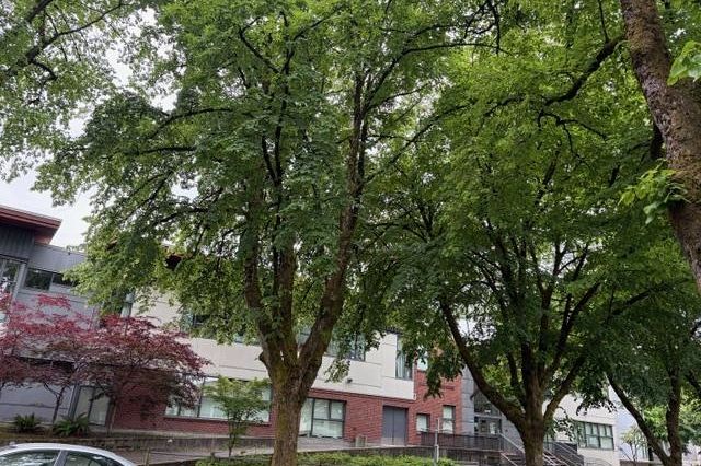 1166 E 16th Avenue Vancouver, BC - 7