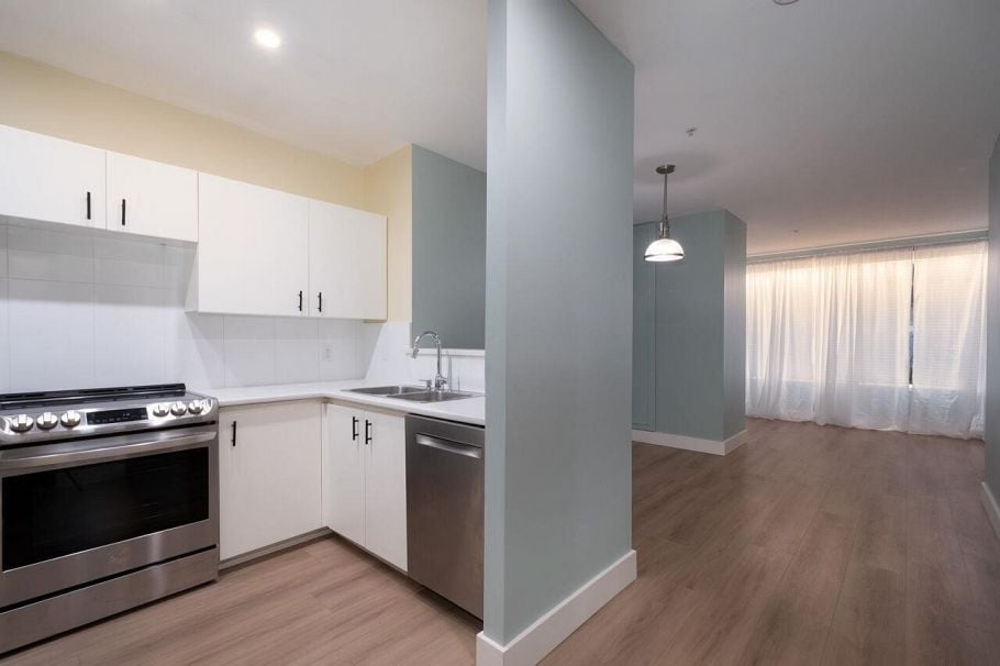 310 1177 Hornby Street Vancouver, BC - 3