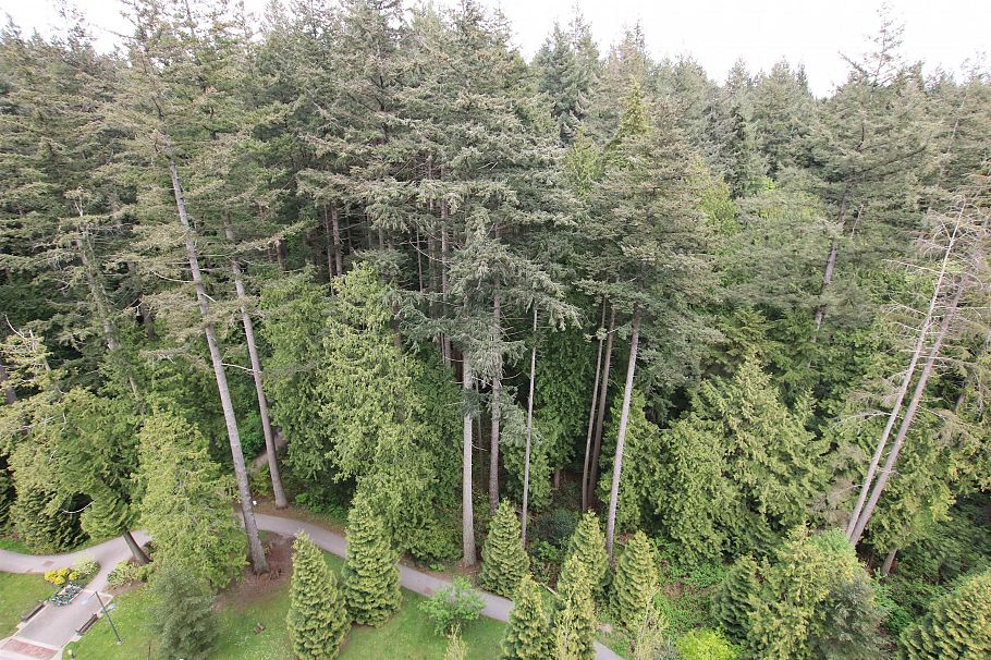 1107 3487 Binning Road Vancouver, BC - 4