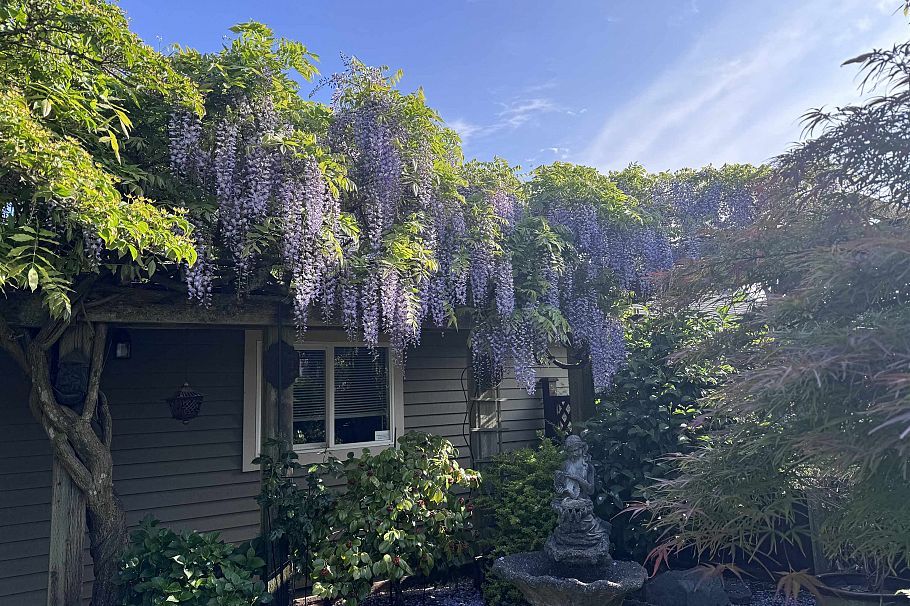326 E 12th Street North Vancouver, BC - 26