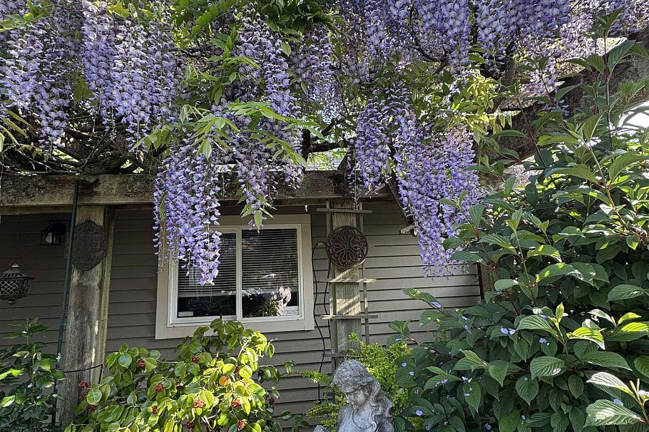 326 E 12th Street North Vancouver, BC - 27