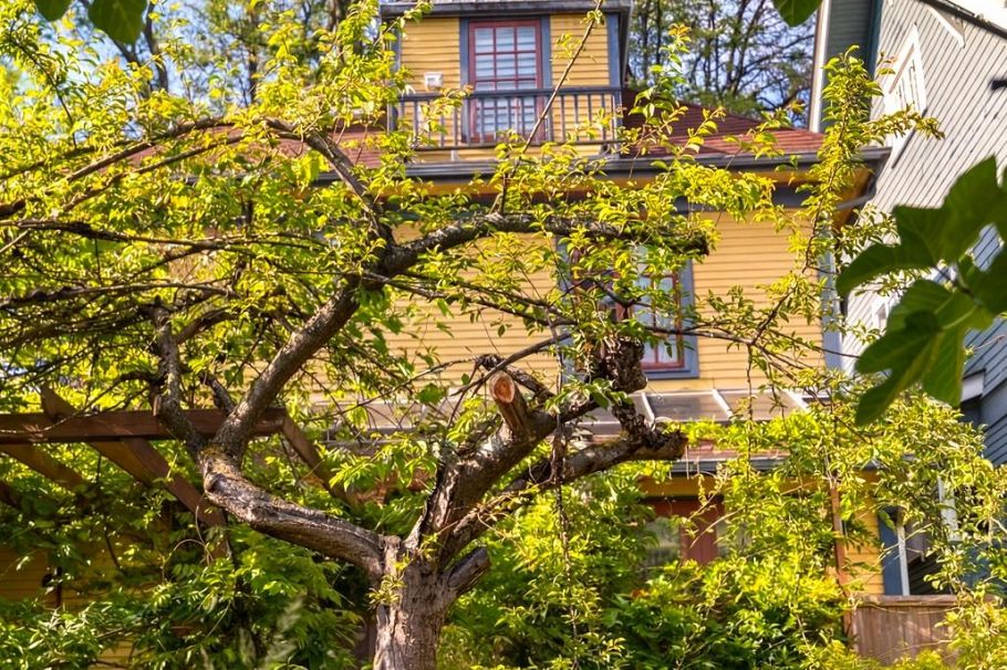 1746 William Street Vancouver, BC - 26