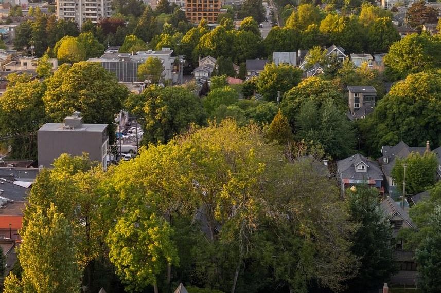 1746 William Street Vancouver, BC - 35