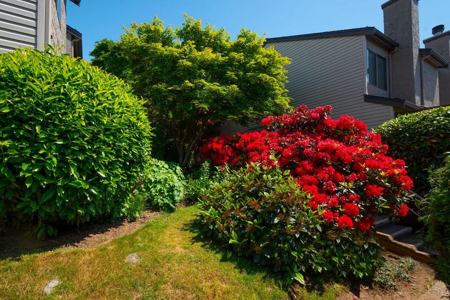 10 230 W 14 Street North Vancouver, BC - 20