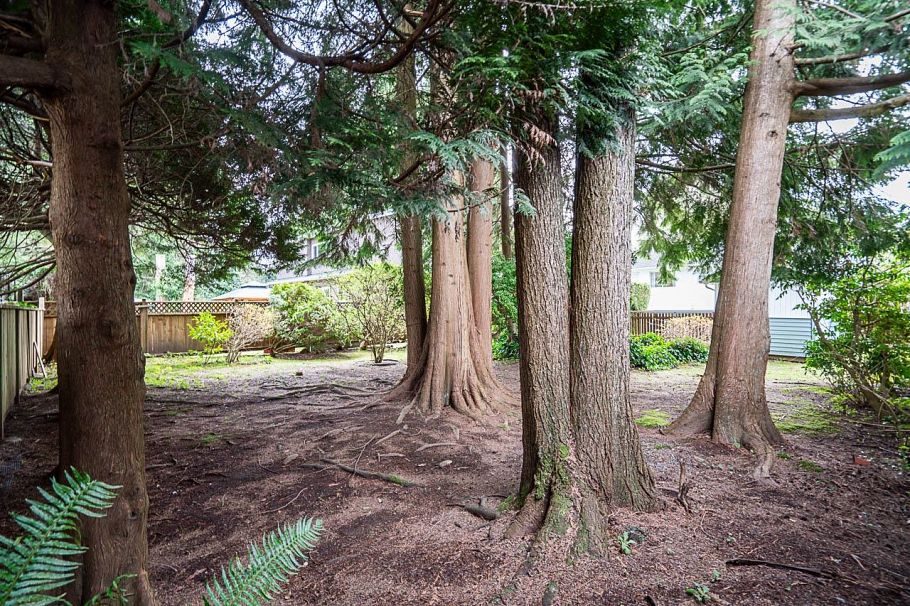 1634 Ross Road North Vancouver, BC - 32