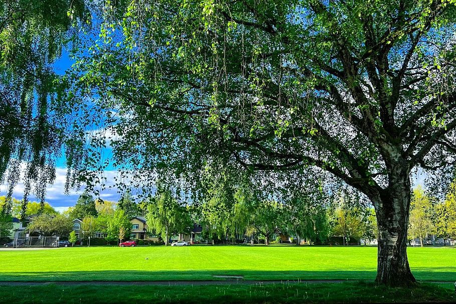 1529 W 61st Avenue Vancouver, BC - 11