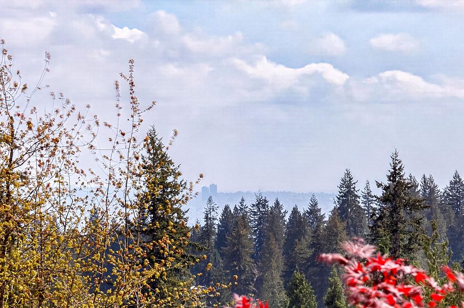 3973 Braemar Place North Vancouver, BC - 2